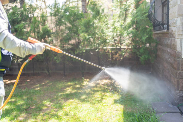 Wasp Removal Services in Tunkhannock, PA